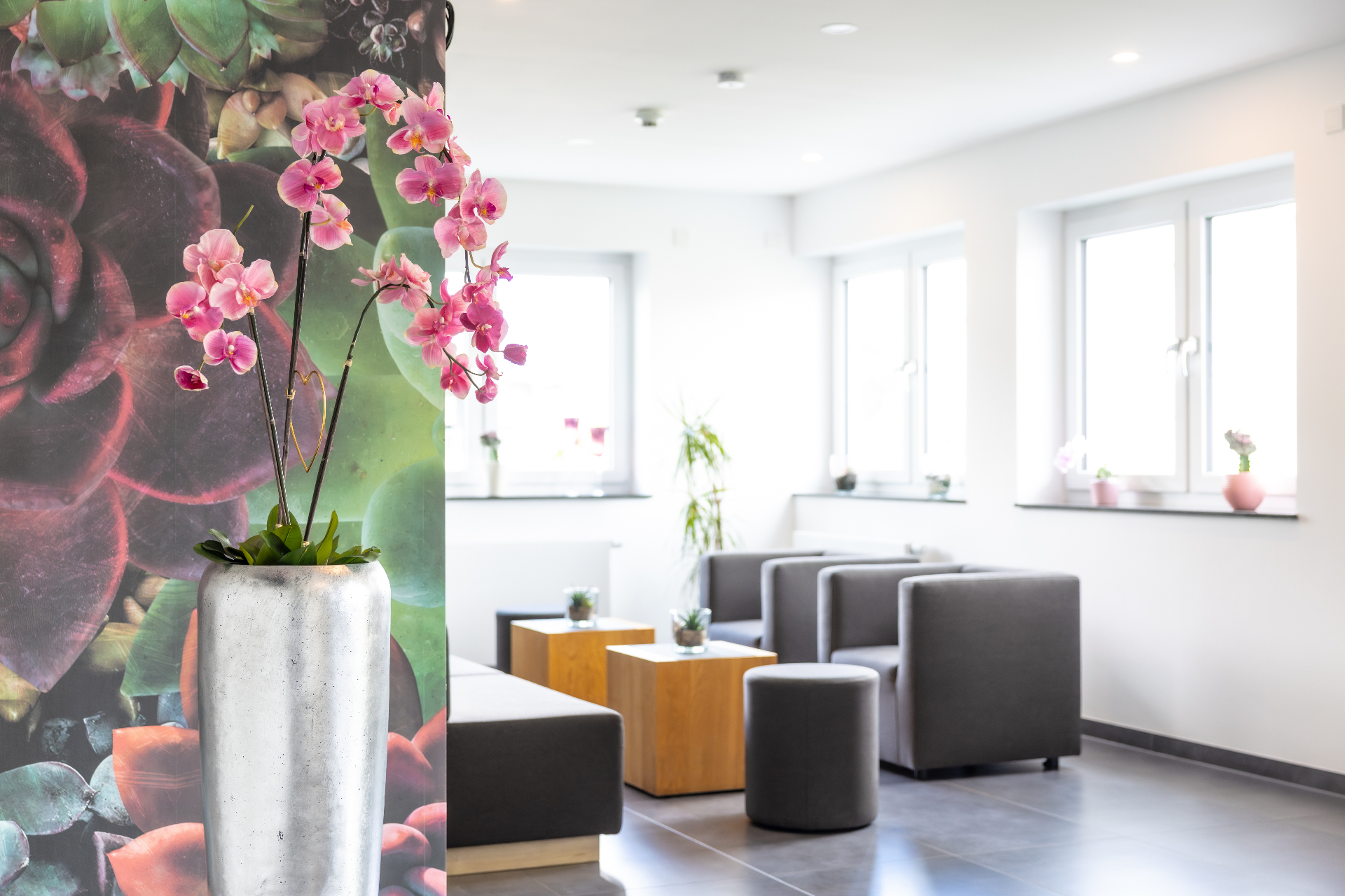 Aufenthaltsbereich mit Orchideen, Boardinghouse Karlsdorf-Neuthard